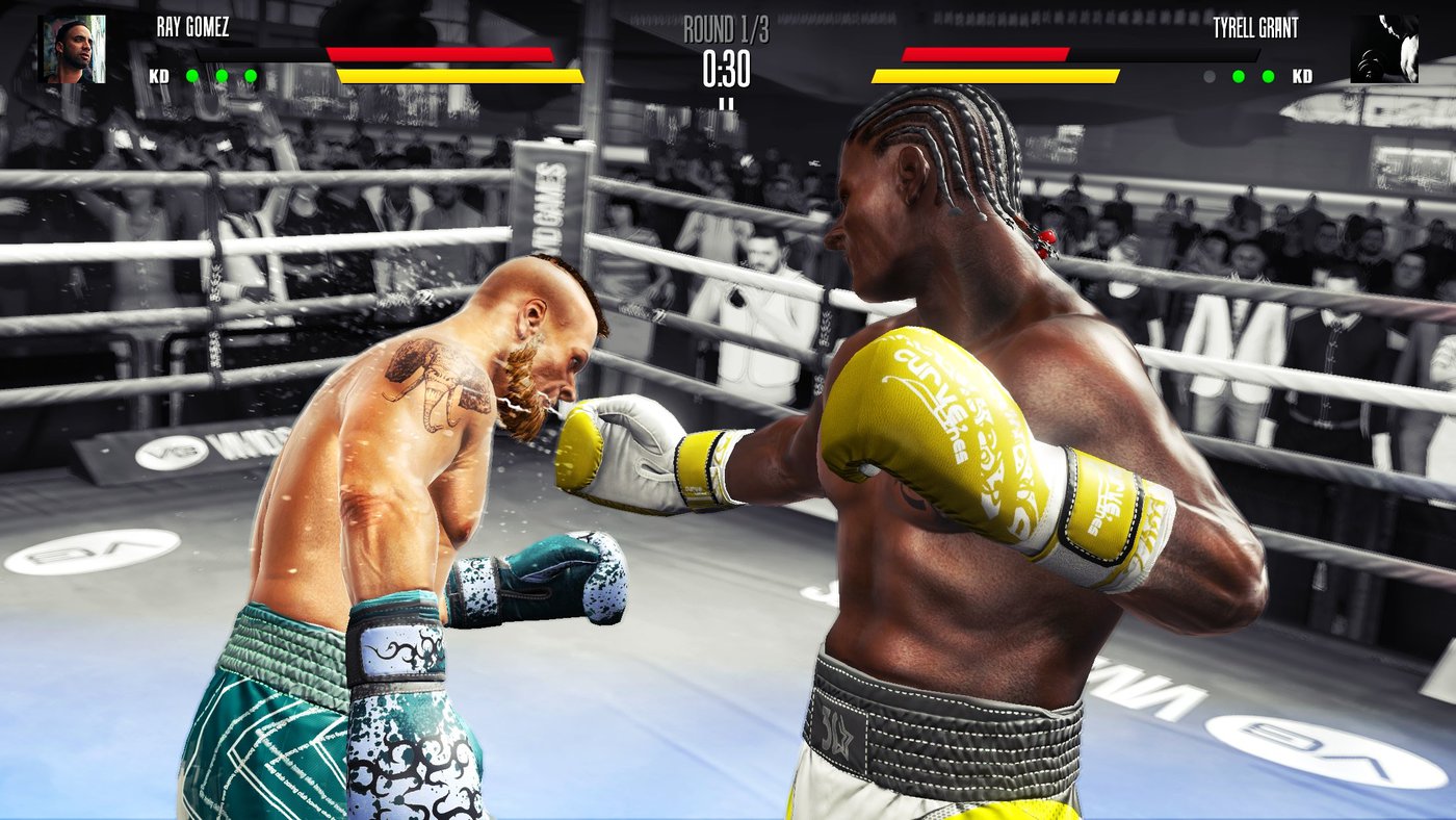 Real Boxing 2 iPhone iPad